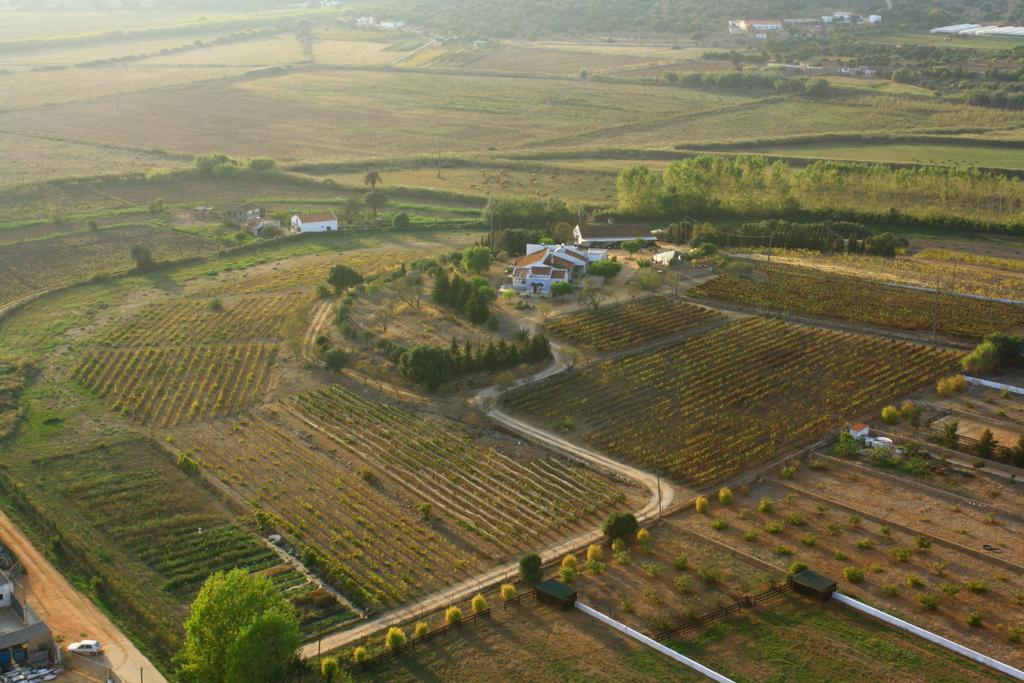 Casas Na Vinha - Monte Da Casteleja, Wine Estate - Eco Alojamento de Turismo Rural Lagos
